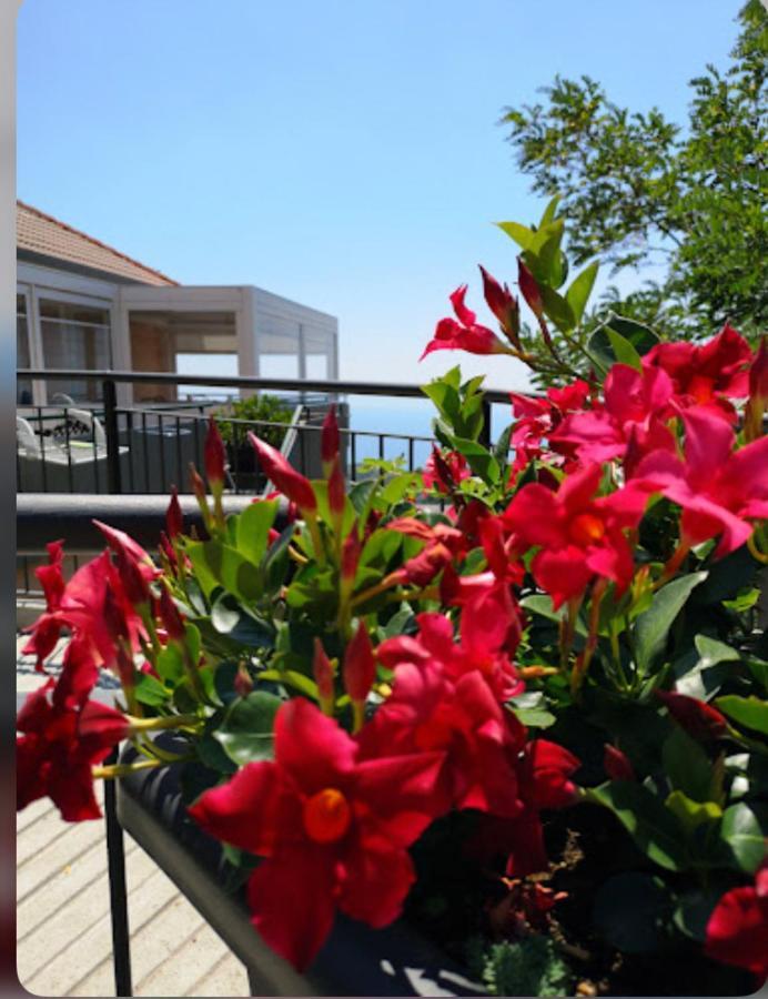 Santangelo Hotel Mattinata Esterno foto